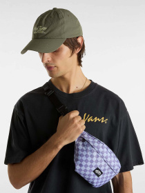 Сумки Vans Traveler Fanny Pack модель VN000HE66PH1 Фото