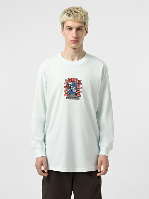 Худи и свитшоты Vans Skull Window модель VN000M6WRNE1 Фото