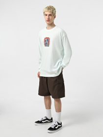 Худи и свитшоты Vans Skull Window модель VN000M6WRNE1 Фото