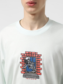 Худи и свитшоты Vans Skull Window модель VN000M6WRNE1 Фото