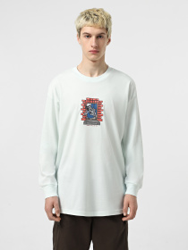 Худи и свитшоты Vans Skull Window модель VN000M6WRNE1 Фото