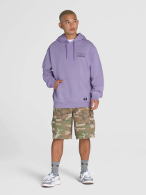 Худи и свитшоты Vans Shop Front Pullover модель VN000NHR6PH1 Фото