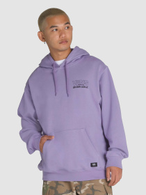 Худи и свитшоты Vans Shop Front Pullover модель VN000NHR6PH1 Фото