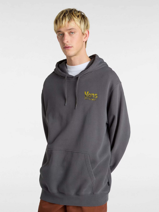 Худи и свитшоты Vans Z Legacy Loose Ft Po модель VN000NWP1O71 Фото