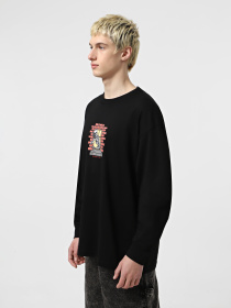 Худи и свитшоты Vans Skull Window модель VN000M6WBLK1 Фото