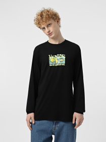 Худи и свитшоты Vans Visual Minds модель VN000M5KBLK1 Фото