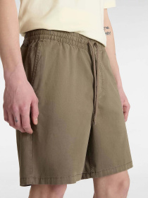 Шорти Vans Mn Range Relaxed Elastic модель VN0A5FKD9JC1 Фото