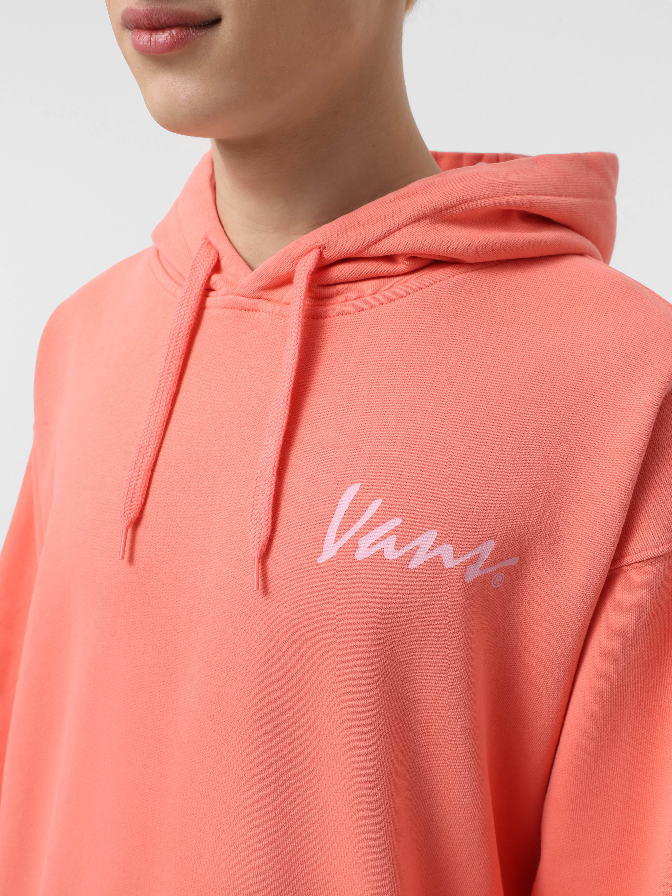 Худи и свитшоты Vans 66 Baked In Loose Ft Po модель VN000NU1D6Z1 Худи и свитшоты Vans 66 Baked In Loose Ft Po модель VN000NU1D6Z1 Фото