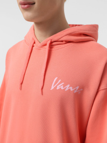 Худи и свитшоты Vans 66 Baked In Loose Ft Po модель VN000NU1D6Z1 Фото