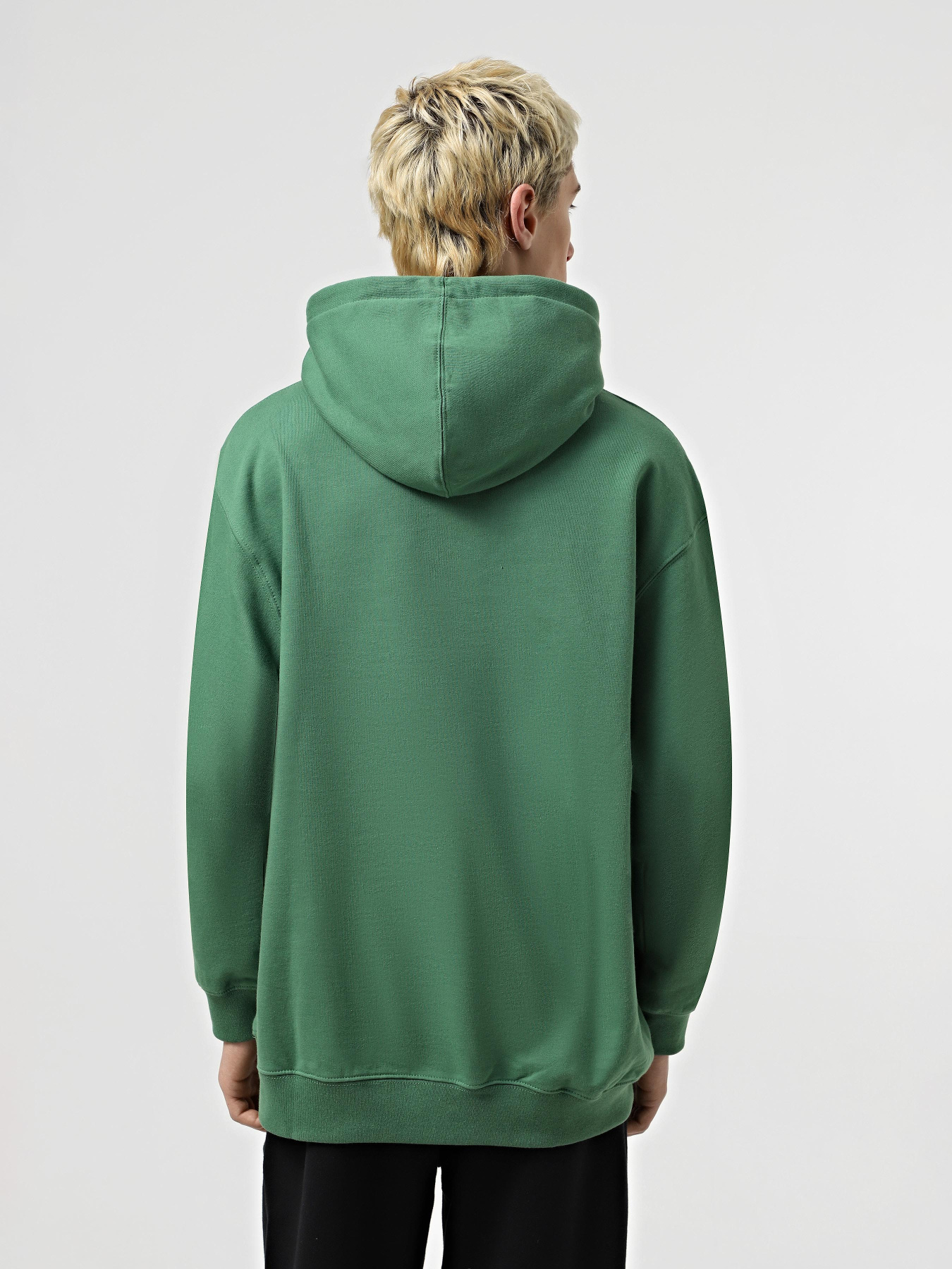 Худі та світшоти Vans Hi Stretch модель VN000NHQBR11 Фото