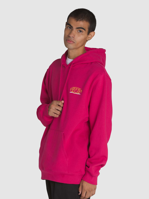 Худи и свитшоты Vans Major Type модель VN000M1PC9L1 Фото