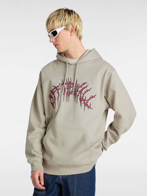 Худи и свитшоты Vans Metal Arch модель VN000M1NZUJ1 Фото
