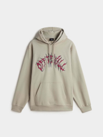 Худи и свитшоты Vans Metal Arch модель VN000M1NZUJ1 Фото