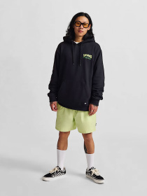Худи и свитшоты Vans Shop Front модель VN000NHRBLK1 Фото