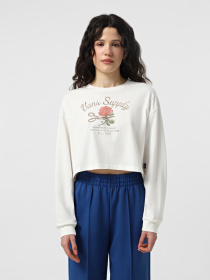 Худи и свитшоты Vans Supply Boutique LS Relax Crop модель VN000MDCFS81 Фото