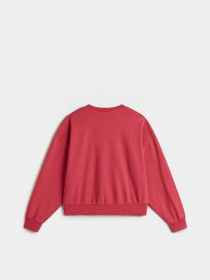 Худи и свитшоты Vans Retro Crew модель VN000M9SC9L1 Фото
