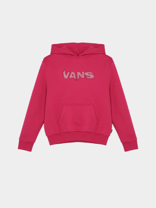 Худі та світшоти Vans Blur модель VN000M8MC9L1 Фото