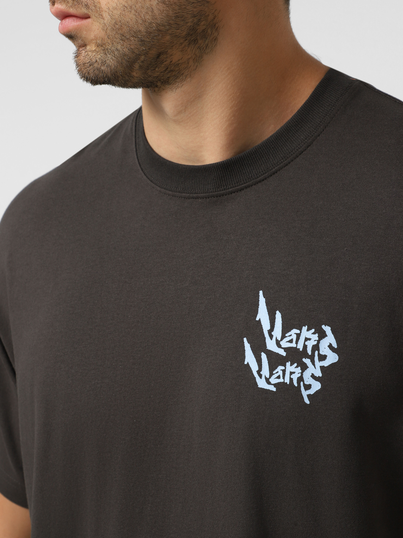 Футболки і поло Vans Heavy Thinker модель VN000RFMEMV1 Футболки і поло Vans Heavy Thinker модель VN000RFMEMV1 Фото