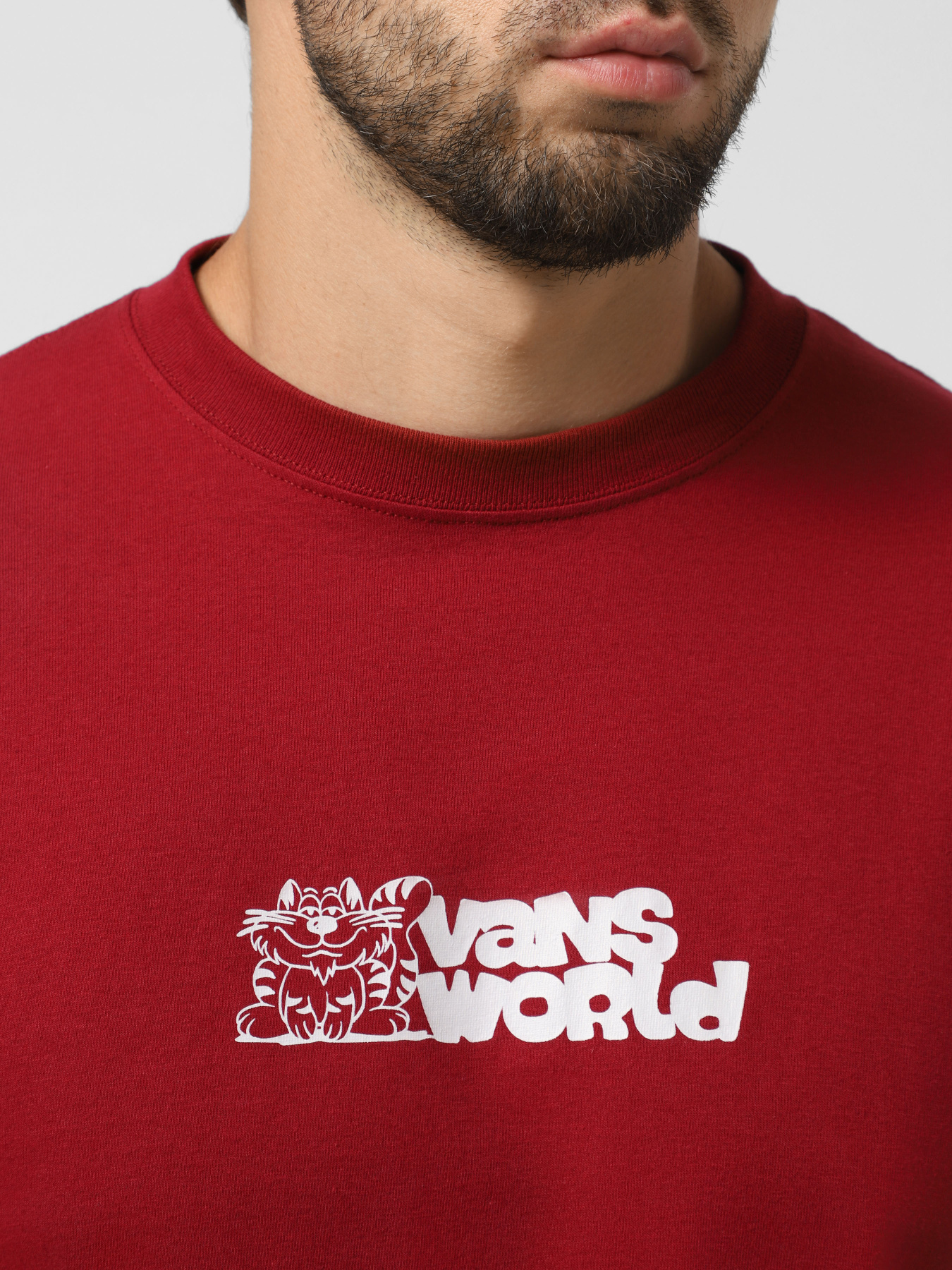 Футболки і поло Vans World модель VN000PBSBRD1 Футболки і поло Vans World модель VN000PBSBRD1 Фото