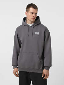 Худи и свитшоты Vans Earthbound модель VN000RD71O71 Фото