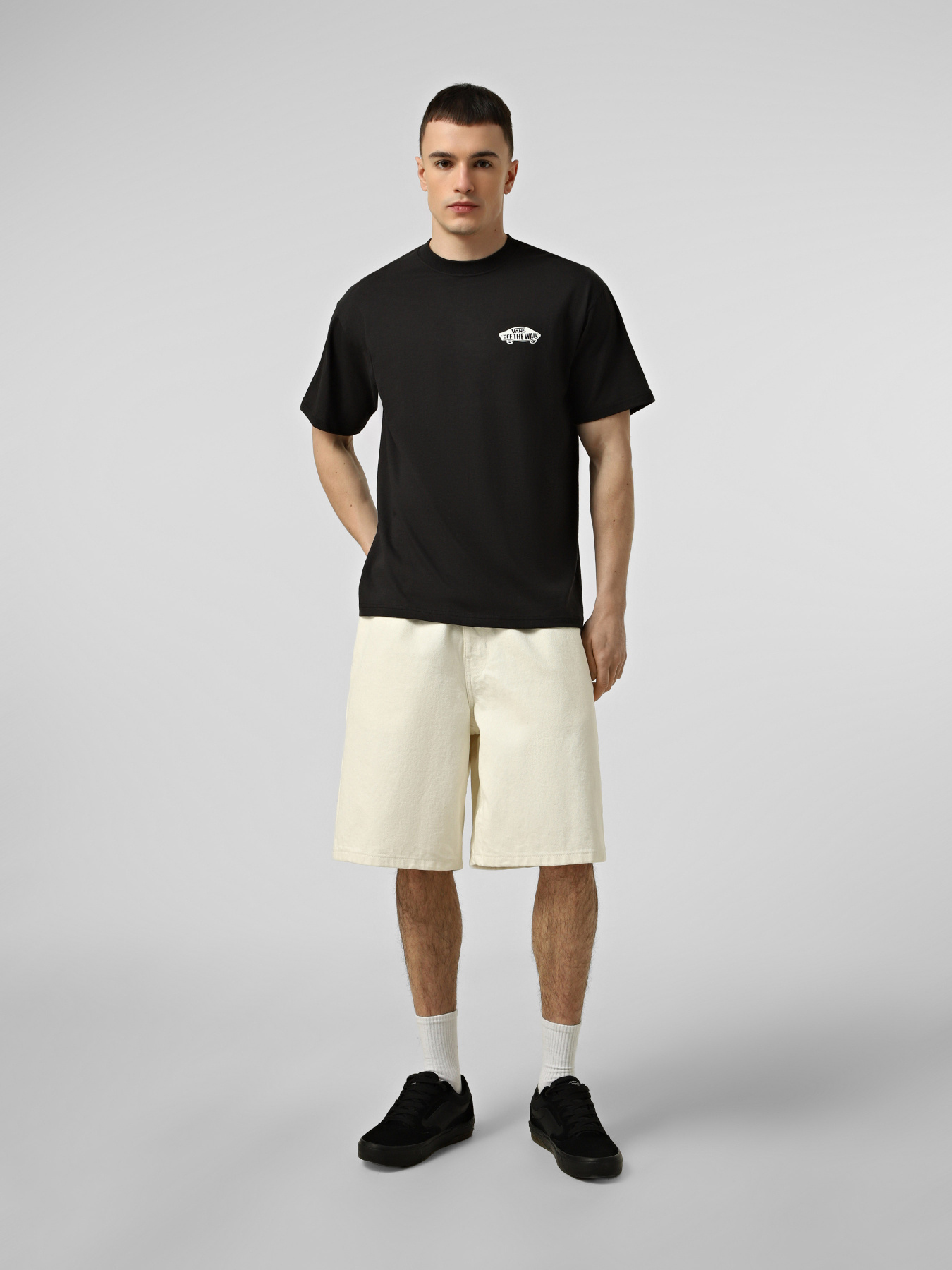 Футболки і поло Vans DOUBLE STANDARD SS TEE модель VN000SYDY281 Фото