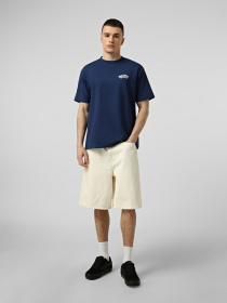 Футболки и поло Vans DOUBLE STANDARD SS TEE модель VN000SYDFOB1 Фото