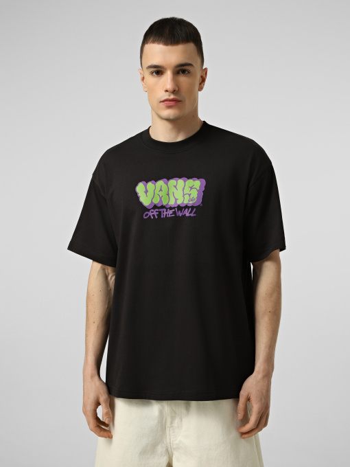 Футболки и поло Vans VANS GRAFF LOOSE SS TEE модель VN000VYBBLK1 Фото