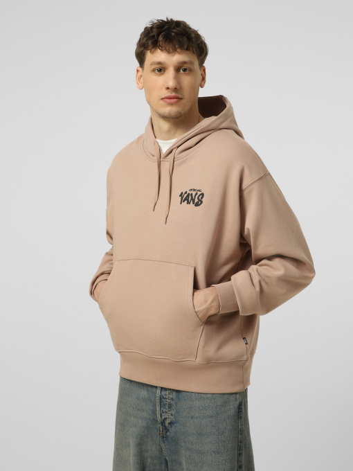 Худи и свитшоты Vans REPEAR SAM LOOSE PO модель VN000VXEE2V1 Фото