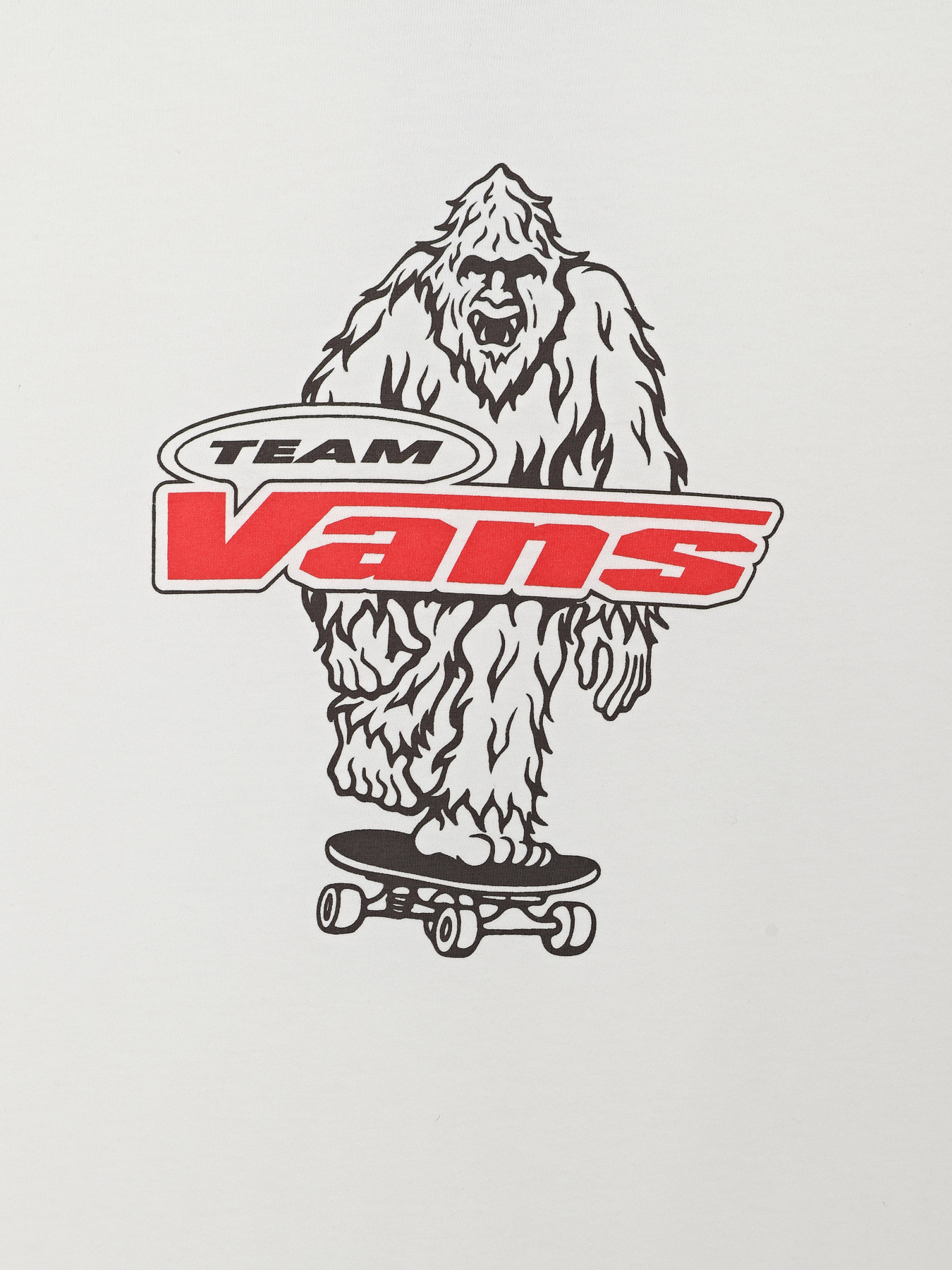 Футболки и поло Vans BIG PUSH SS модель VN000TBBWHT1 Фото