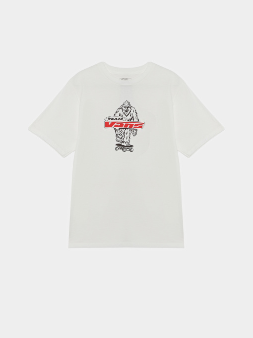 Футболки і поло Vans BIG PUSH SS модель VN000TBBWHT1 Фото