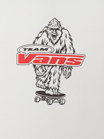 Футболки и поло Vans BIG PUSH SS модель VN000TBBWHT1 Фото