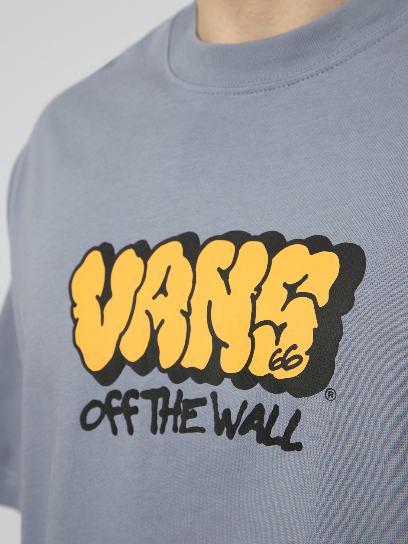 Футболки і поло Vans VANS GRAFF LOOSE SS TEE модель VN000VYBFOI1 Футболки і поло Vans VANS GRAFF LOOSE SS TEE модель VN000VYBFOI1 Фото
