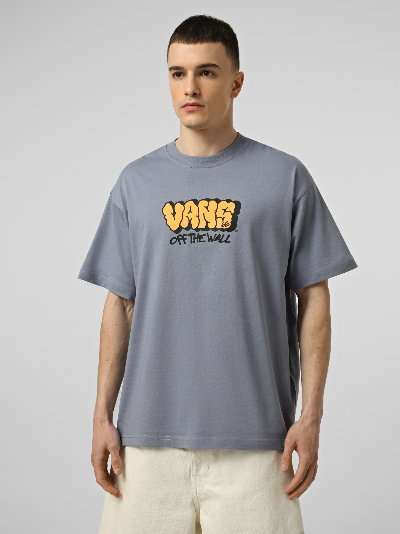 Футболки і поло Vans VANS GRAFF LOOSE SS TEE модель VN000VYBFOI1 Футболки і поло Vans VANS GRAFF LOOSE SS TEE модель VN000VYBFOI1 Фото
