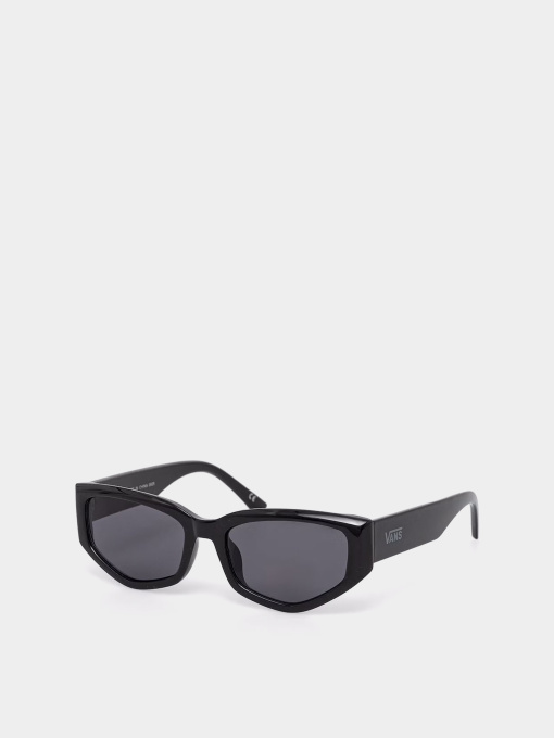Очки Vans LEYDEN SUNGLASSES модель VN000T0CBLK1 Фото