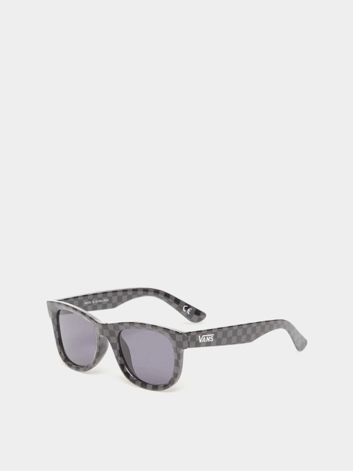 Очки Vans SPICOLI SUNGLASSES модель VN000T0EBA51 Фото