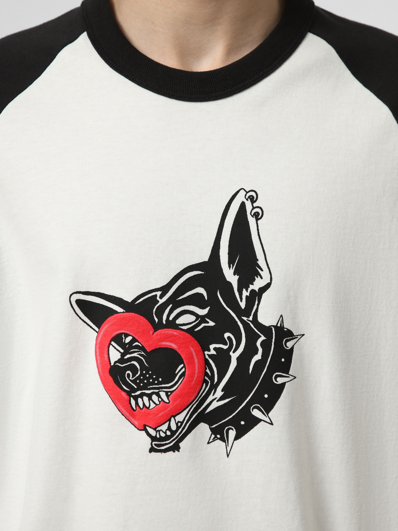 Футболки і поло Vans LX DAYANA DOG FACE SHORT SS TE модель VN000S1CWHT1 Фото