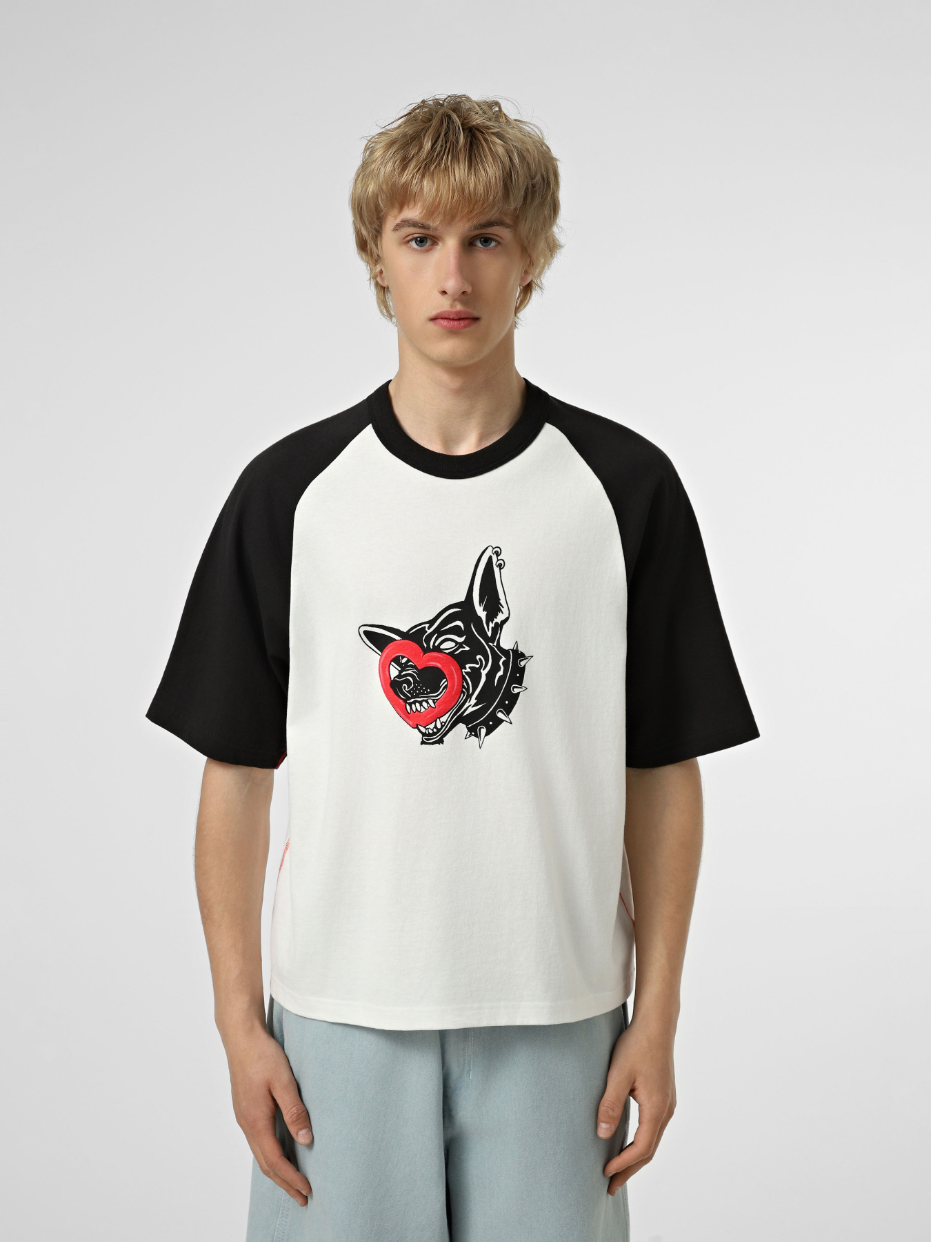 Футболки і поло Vans LX DAYANA DOG FACE SHORT SS TE модель VN000S1CWHT1 Фото