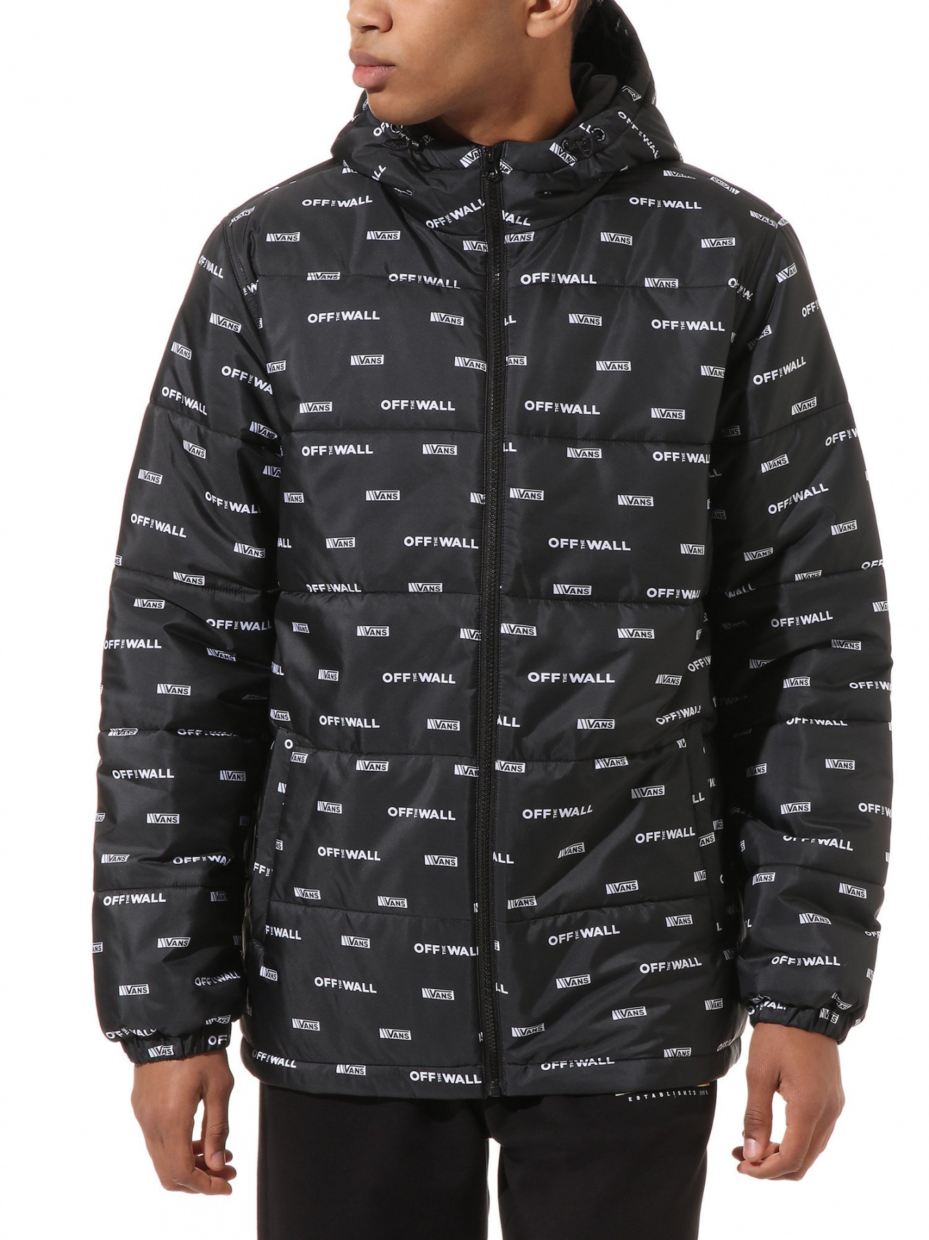 Куртки та дублянки Vans Woodridge DNA модель VN0A45AZZMI1 Куртки та дублянки Vans Woodridge DNA модель VN0A45AZZMI1 Фото