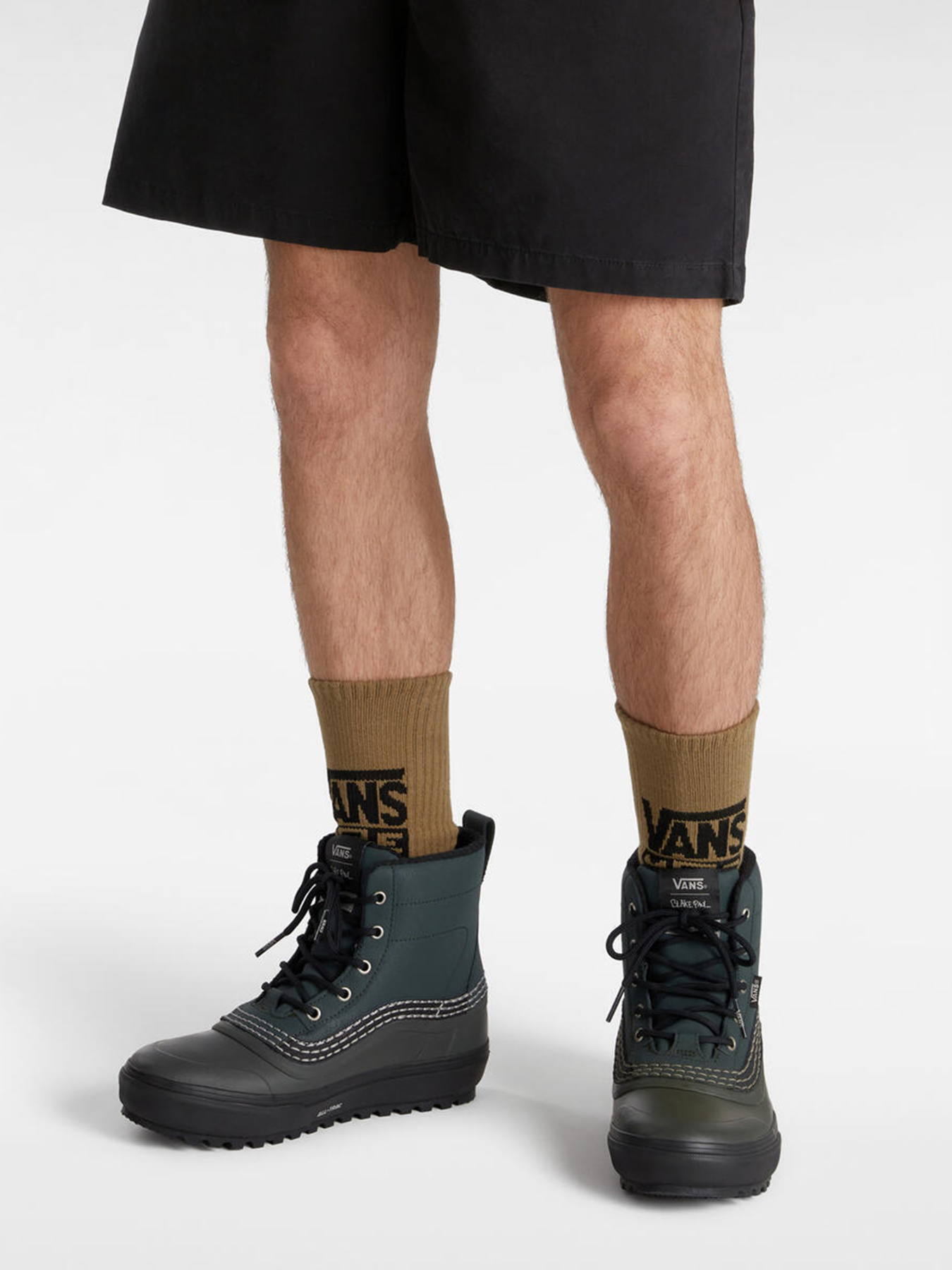Ботинки и сапоги Vans MTE Standard Mid Waterproof х Blake Paul модель VN000D2C2MC1 Ботинки и сапоги Vans MTE Standard Mid Waterproof х Blake Paul модель VN000D2C2MC1 Фото