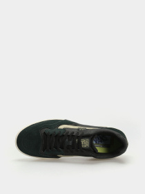 Кеди Vans Skate AVE 2.0 модель VN0A2Z3HGRN1 Фото