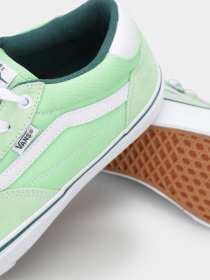 Кеды Vans Skate Rowan модель VN0A5JICY9H1 Фото