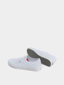Кеды Vans SKATE AUTHENTIC модель VN0A5FC8W001 Фото