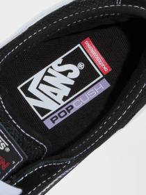 Кеды Vans SKATE CURREN CAPLES модель VN000D85BZW1 Фото