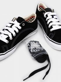 Кеди Vans Skate Lampin модель VN0A5FCHY281 Фото
