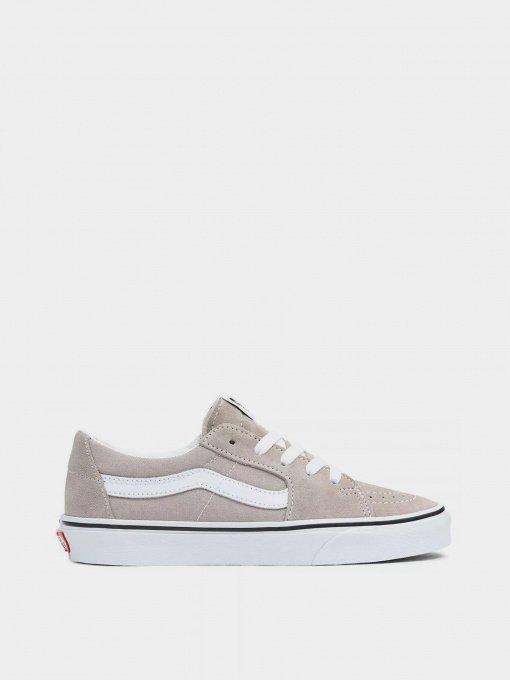 Кеды Vans Sk8-Low модель VN0A5KXDBD31 Фото