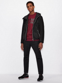 Худи и свитшоты Armani Exchange модель 6KZMFA-ZJY1Z-6452 Фото