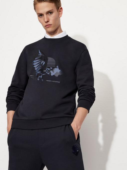 Худи и свитшоты Armani Exchange модель 6KZMFU-ZJ2RZ-1510 Фото