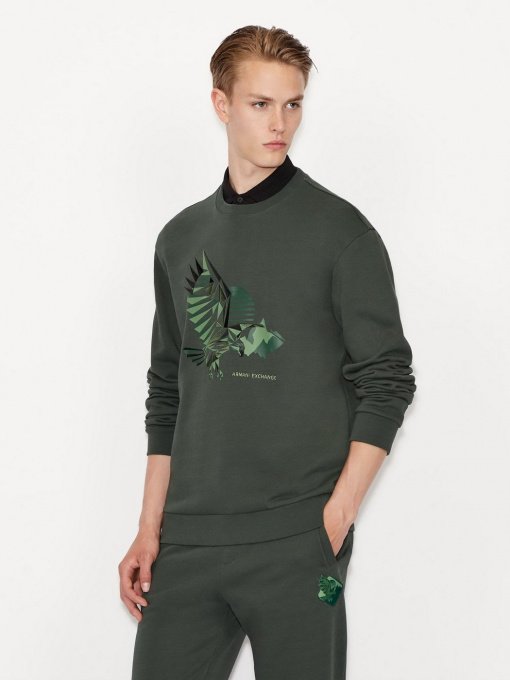 Худи и свитшоты Armani Exchange модель 6KZMFU-ZJ2RZ-1863 Фото