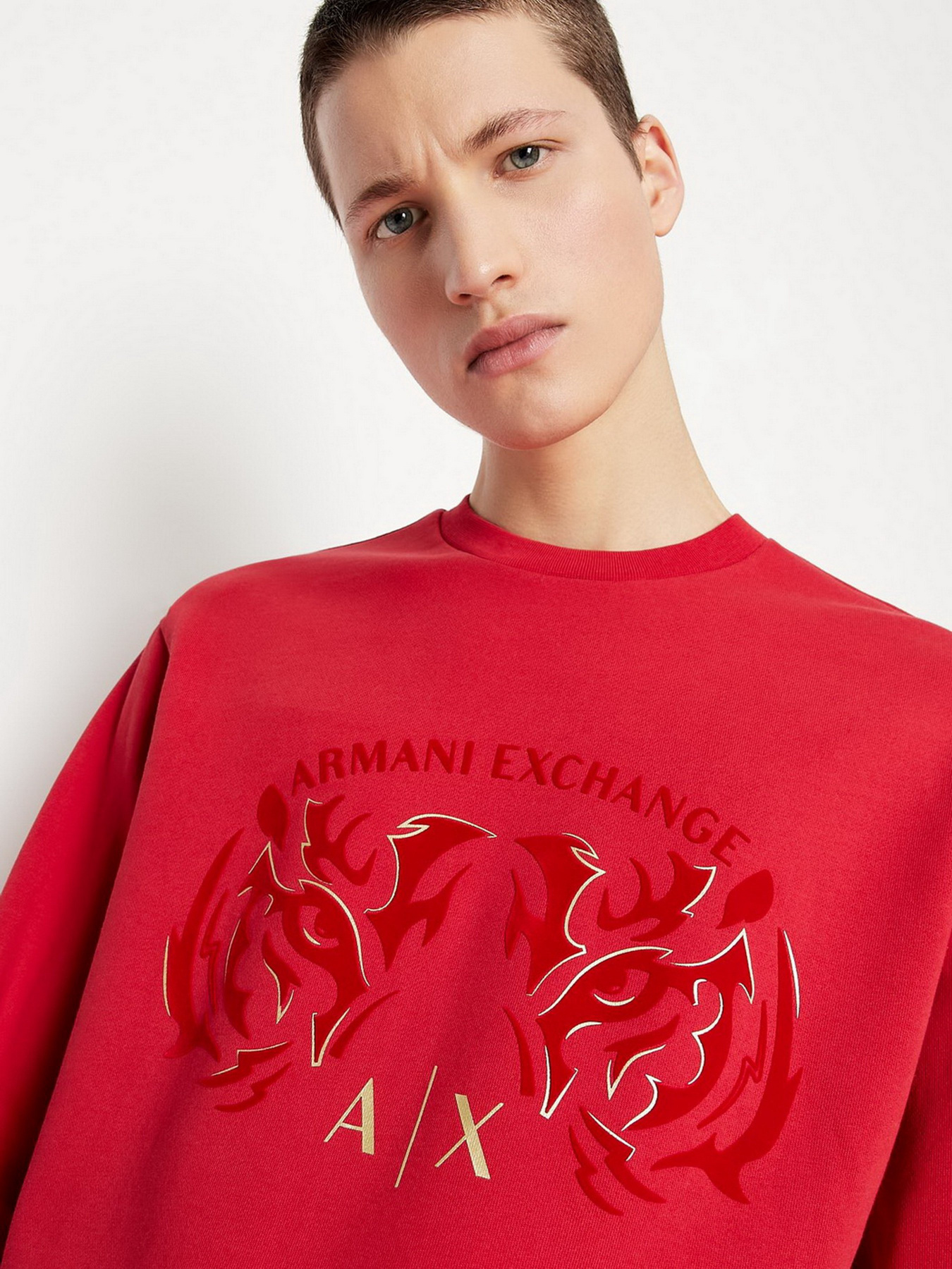 Худи и свитшоты Armani Exchange модель 3LZMGG-ZJ1ZZ-1435 Фото