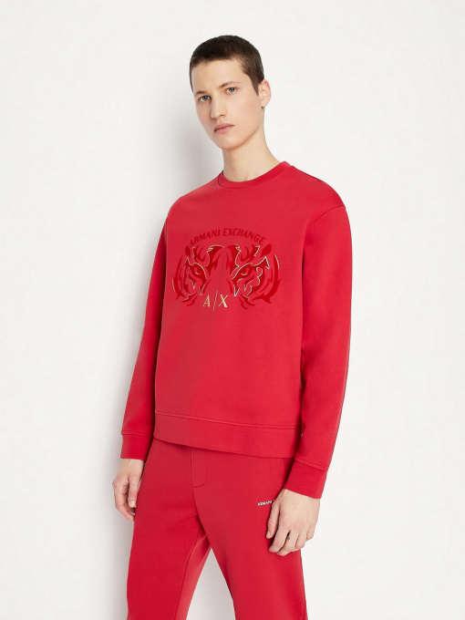 Худи и свитшоты Armani Exchange модель 3LZMGG-ZJ1ZZ-1435 Фото